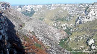 stello marchesa di Cassibile-10-02-2015 19-55-23